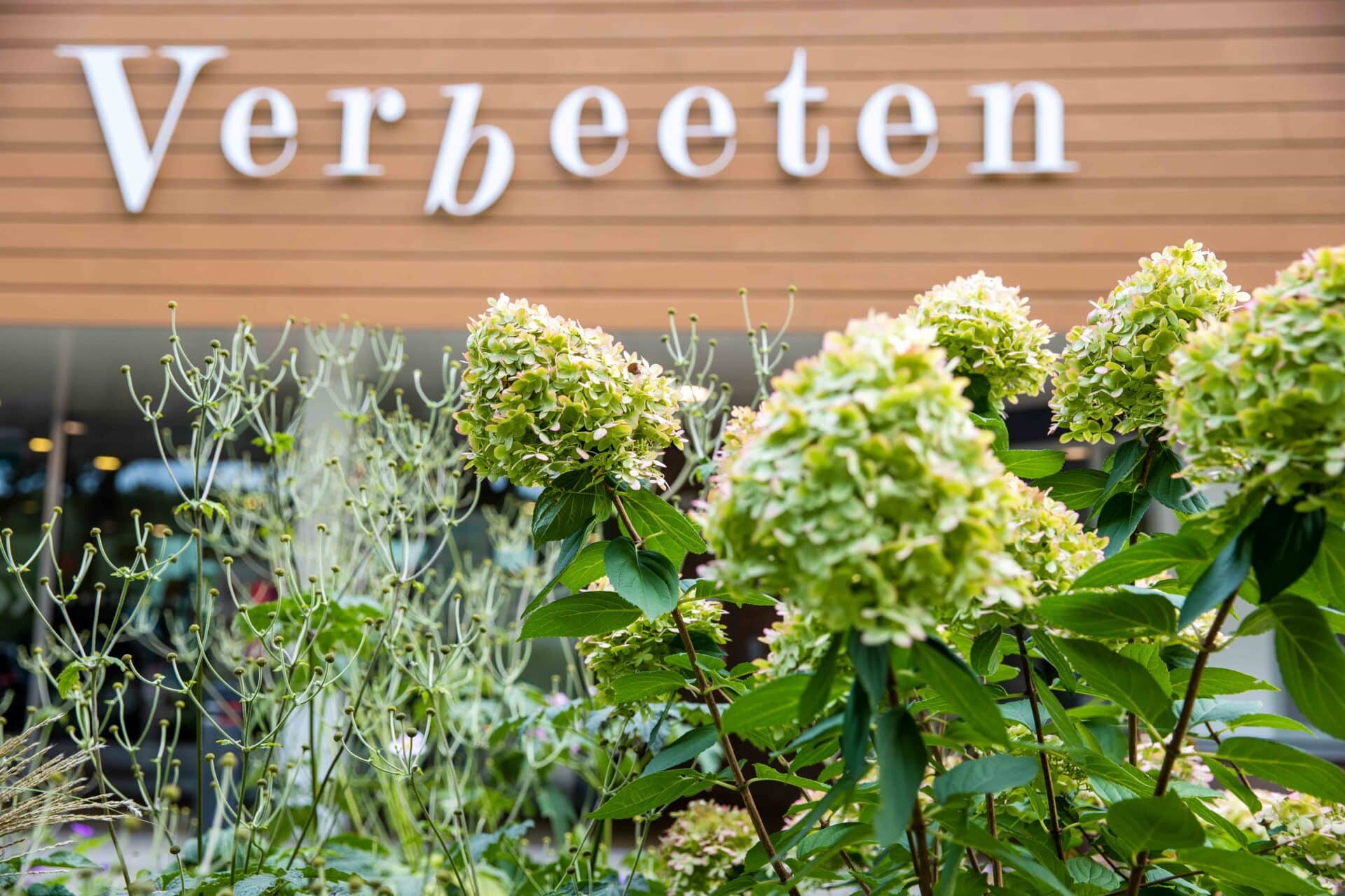 Instituut Verbeeten locatie Tilburg