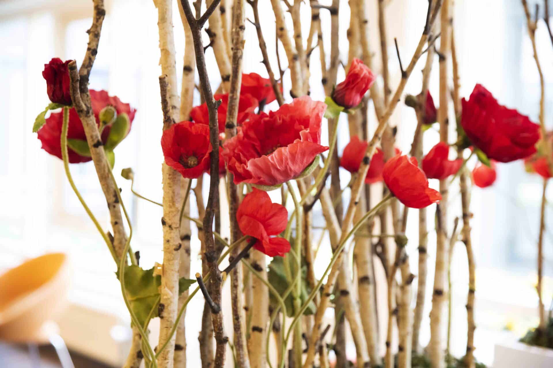 Sfeerbeeld wachtruimte Instituut Verbeeten locatie Tilburg