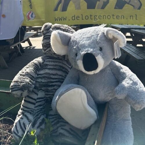 Knuffels Verwendag 2023 in de Beekse Bergen