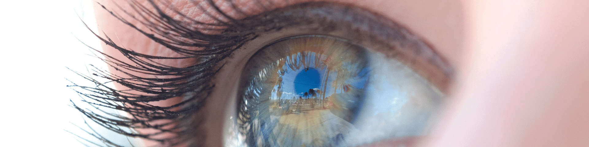 Privacy, Oog